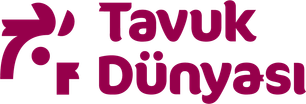 Tavuk Dünyası